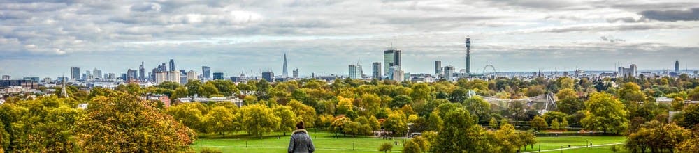 Primrose Hill view of London 