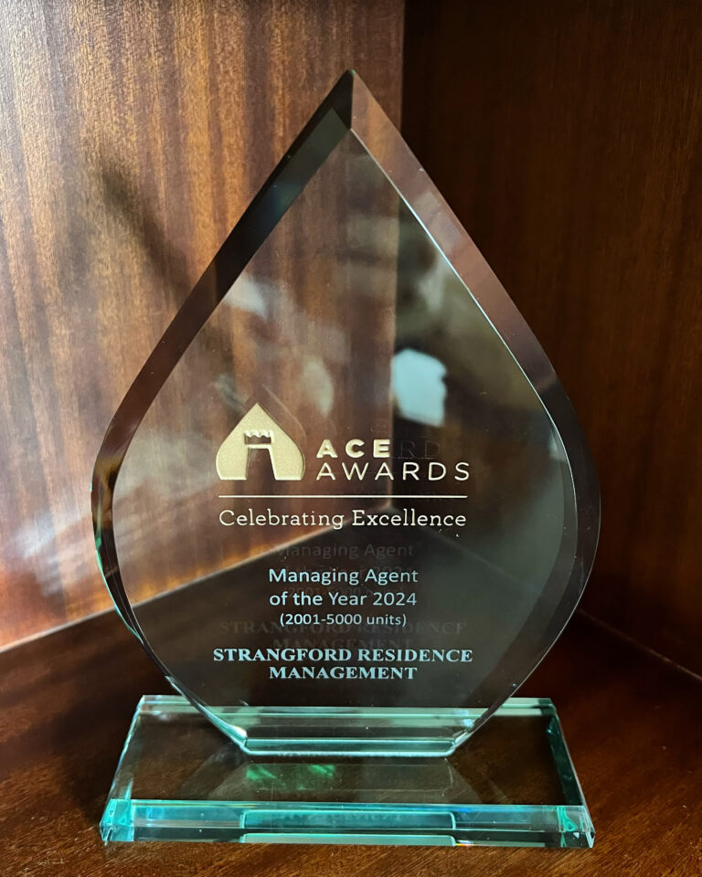 Strangford ace awards 2024